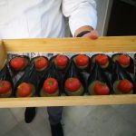 Aceite 1881 participó en los Cursos de Otoño de la Escuela Universitaria de Osuna - Aceite 1881