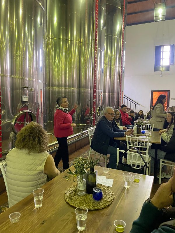 Descubre nuestro nuevo Aceite 1881 de Cosecha Temprana y rememoramos nuestro Desayuno Molinero  - Aceite 1881